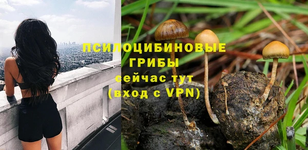 герыч Медвежьегорск