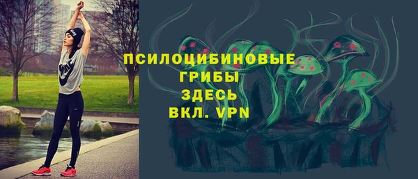 не бодяженный Медногорск