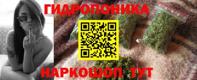 прущие крисы Гусиноозёрск