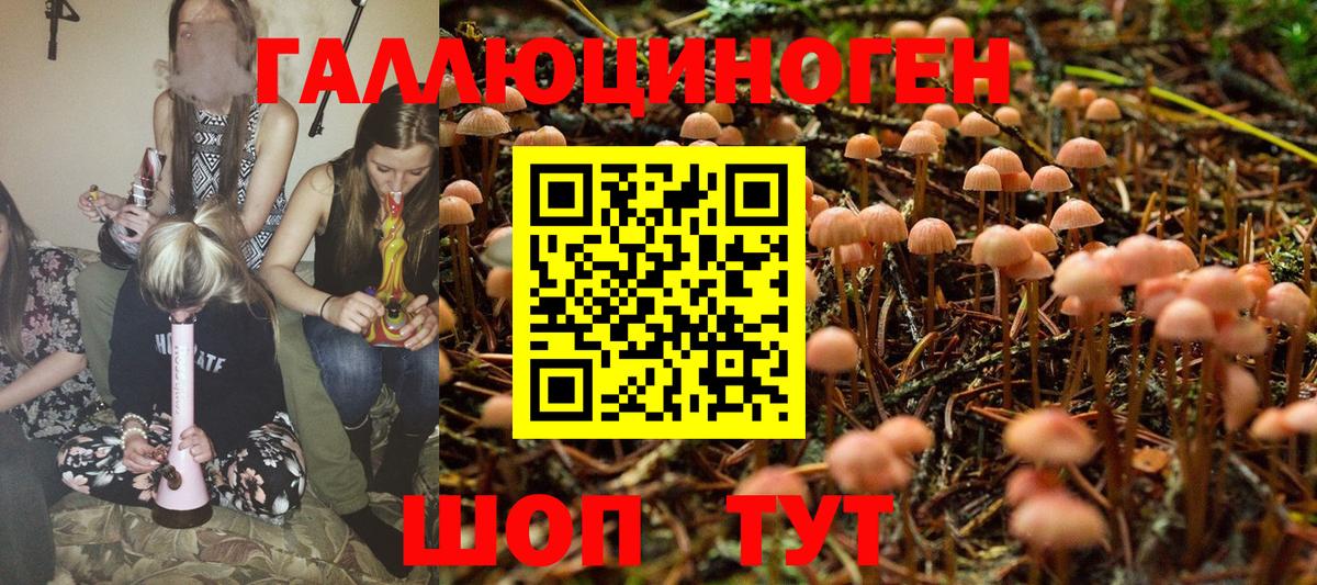 Галлюциногенные грибы Magic Shrooms  Клин 