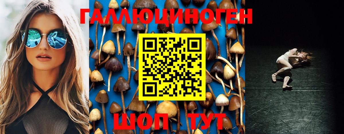 Псилоцибиновые грибы Psilocybine cubensis Клин