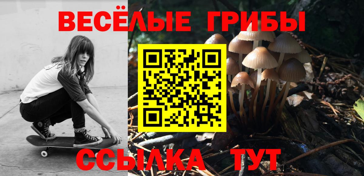 купить наркоту  Вход с VPN  Клин  Галлюциногенные грибы Cubensis 